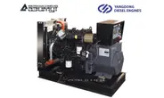 3-фазная дизельная электростанция 12 кВт Yangdong АД-12С-Т400-2РМ55 с автозапуском (АВР)