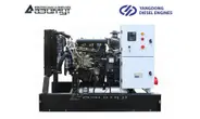 Дизельная электростанция 14 кВт Yangdong АД-14С-Т400-2РМ55 с автозапуском (АВР)