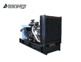 TSS АД-300С-Т400-2РМ19