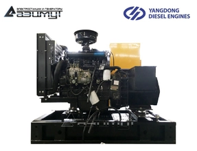 Трехфазная ДГУ 8 кВт Yangdong АД-8С-Т400-1РМ55